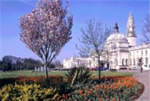Cardiff City Hall