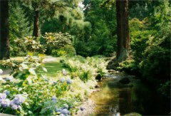 Bodnant Gardens