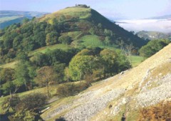 Castell Dinas Bran