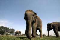 ZSL Whipsnade Zoo