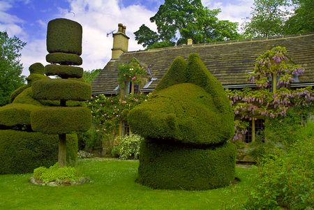 Haddon Hall topiary