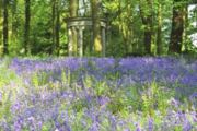 Renishaw Hall