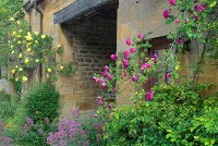 More flowers, more flowers! Everywhere you look in Stanton are flowers!f