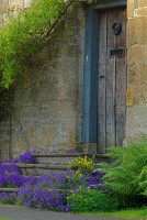 Cottage door, complete with the requisite beautiful flowers!