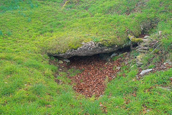 Photo of Windmill Tump Long Barrow, near Rodmarton, Gloucestershire. A collapsed side chamber. There are at least three such chambers branching out from the central passage.