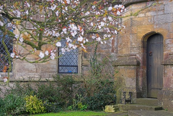 Spring blossoms in the churchyard of St Mary the Virgin. Photo of St Mary's Church, Tetbury, in the Gloucestershire Cotswolds. Part of the Britain Express Travel and Heritage Picture Library.
