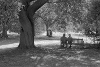 Elderly couple sitting in the shade, soaking up the beautiful scenery