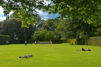 A nice lawn to lie and soak up the sun