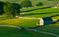 Stone walls at Malham, Yorkshire Dales