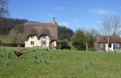 Field Cottage, Pershore, Worcestershire