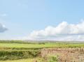 Image of Butcombe Farm House, Butcombe - Photo #6