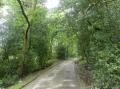Image of Woodbottom Farm, Meltham - Photo #6