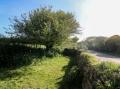 Image of Kernyk, Porthcurno - Photo #15