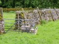 Image of Croft Cottage, Arncliffe - Photo #1