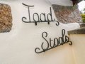 Image of Toadstools, Penryn - Photo #3