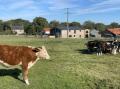 Image of 1 New Dairy Barn, Croxdale - Photo #17