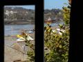 Image of Springfield Cottage, Bideford - Photo #5