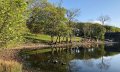 Image of High Cunsey Farm, Far Sawrey - Photo #4
