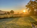 Image of The Cosy Cowshed, Dalwood - Photo #3