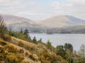 Image of Derwent Haven, Keswick - Photo #14