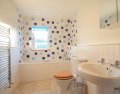 Image of Ossco, Polzeath - Photo #12