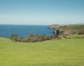 Image of Ossco, Polzeath - Photo #4