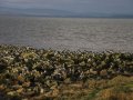 Image of West End Bay, Morecambe - Photo #2