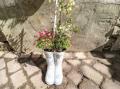 Image of The Cottage, Silkstone - Photo #17