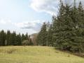 Image of The Lodge, Pontsticill - Photo #18