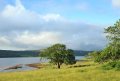 Image of Achaglachgach Stables, Tarbert - Photo #3