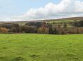 Image of Sarah's Cottage, Stanbury - Photo #15
