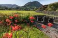 Image of Raise View House, Grasmere - Photo #1