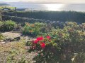 Image of Llys Owen, Criccieth - Photo #10
