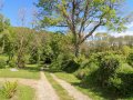 Image of Glanduad Fawr, Newport - Photo #11