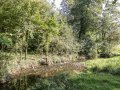 Image of The Cow Shed, Toller Porcorum - Photo #2