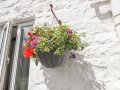 Image of Ty'n Pwll Farm, Nefyn - Photo #7