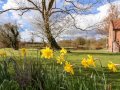 Image of Brook Farm, Halesworth - Photo #2