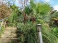 Image of Tall Timbers, Ventnor - Photo #15