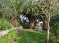Image of Tall Timbers, Ventnor - Photo #14