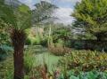 Image of Tall Timbers, Ventnor - Photo #8