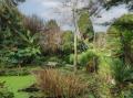 Image of Tall Timbers, Ventnor - Photo #6