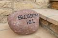 Image of Blossom Hill, Witney - Photo #2