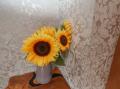 Image of All Seasons, Filey - Photo #6