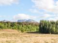 Image of Camisky Lodge, Fort William - Photo #4