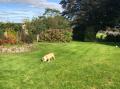 Image of Greenhaven, Narberth - Photo #2