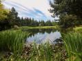 Image of The Granary, Hopton - Photo #14