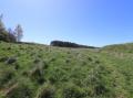 Image of Fogga Croft, Gargrave - Photo #3