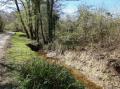 Image of Stapleford Farm, Beaminster - Photo #10