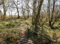 Image of Stapleford Farm, Beaminster - Photo #11