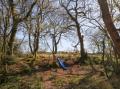 Image of Stapleford Farm, Beaminster - Photo #12